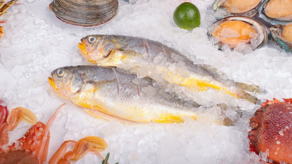 pexels-photo-20810999 Top view of fresh seafood including fish, clams, and lime on ice.